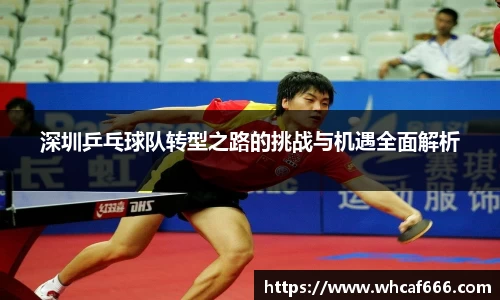 深圳乒乓球队转型之路的挑战与机遇全面解析